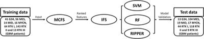 Distinguishing Glioblastoma Subtypes by Methylation Signatures